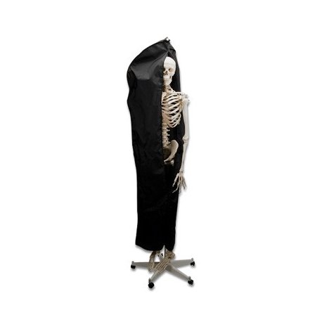 Obal na modely ľudskej kostry