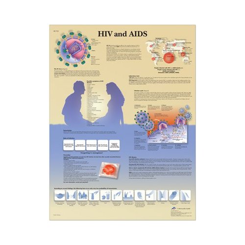 Schéma - HIV vírus a AIDS - AJ - 50x67 cm
