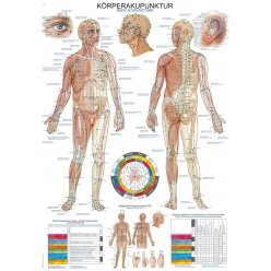 Schéma - akupunktúrne body tela