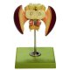 Model včelieho mozgu