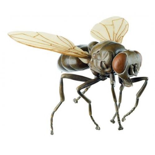 Model muchy - Musca domestica