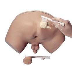 Simulátor na vyšetrenie prostaty