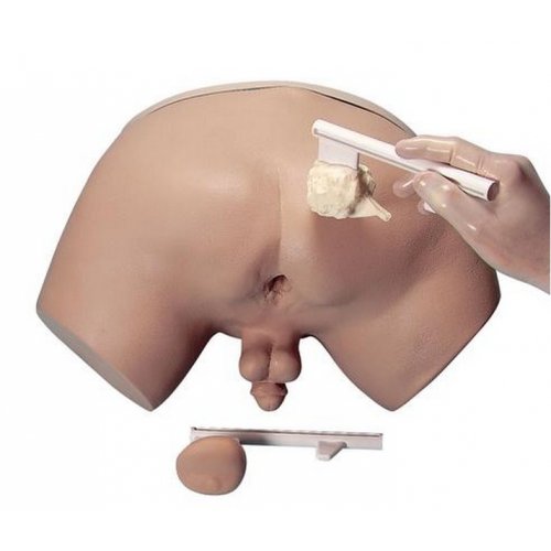 Simulátor na vyšetrenie prostaty