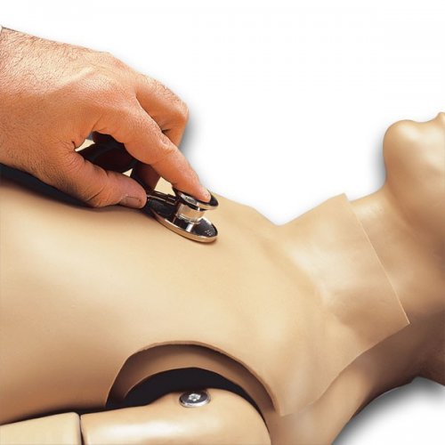Náhradný simulátor pre ozvy srdca a pľúc pre model EZ - R17710