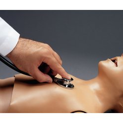 Náhradný simulátor pre ozvy srdca a pľúc pre model EZ - R17720