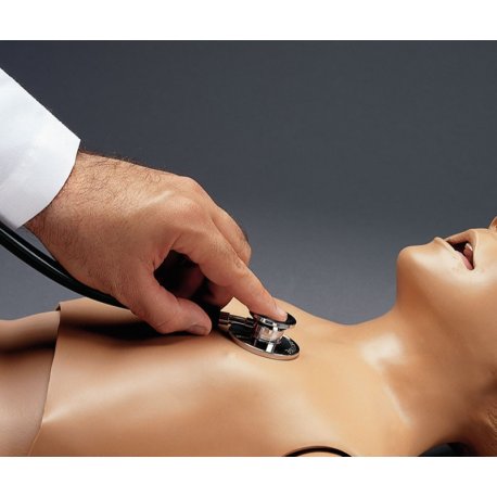 Náhradný simulátor pre ozvy srdca a pľúc pre model EZ - R17720