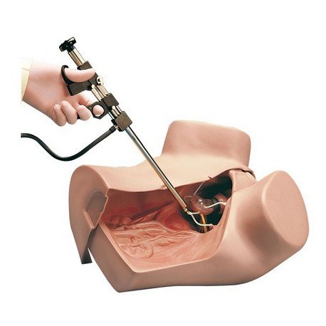 Simulátor gynekologický