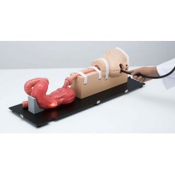 Simulátor prevedenia gastroskopie