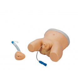 Simulátor katetrizácie dojčaťa - obojpohlavný