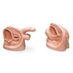 Simulátor katetrizácie močového mechúra - set