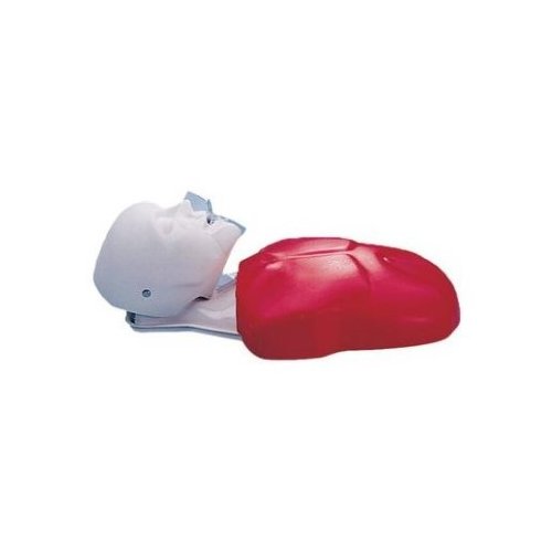 Ekonomické torzo CPR Buddy
