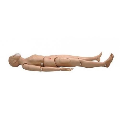Figurína CPR - dospelý