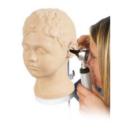 Diagnostický a vyšetrovací model ucha