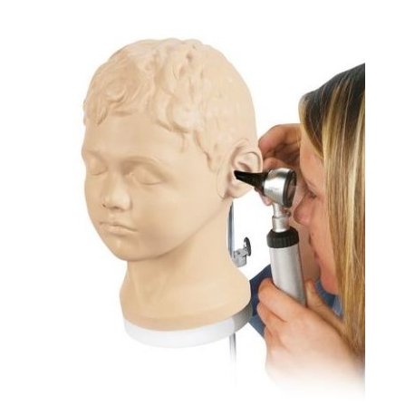 Diagnostický a vyšetrovací model ucha
