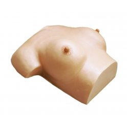 Masážny model prsníkov