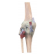 Anatomický model kolenného kĺbu