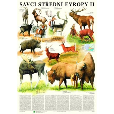 Cicavce strednej Európy II - Sudokopytníci