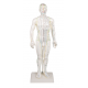 Čínska figurína muža pre akupunktúru - 50 cm