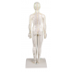 Čínska figurína muža pre akupunktúru - 48 cm