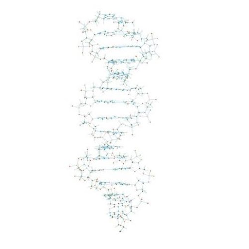 Model DNA