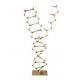 Model DNA-RNA