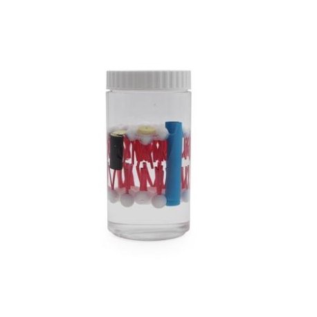 Model biomembrány