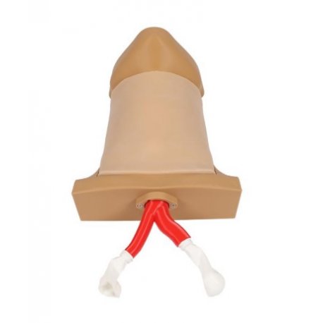 Crico Chris – trenažér pre nácvik koniotómie