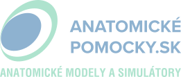 Anatomické-pomocky.sk